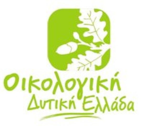 Οικολόγοι Πράσινοι: Στο έλεος των βροχών και της εγκατάλειψης ο δρόμος από το Μπόρσι προς το Κέντρο στην Πηνεία