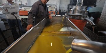 «Βούλιαξαν» οι εξαγωγές ελαιολάδου τον Μάρτιο -Οι κλάδοι που διασώθηκαν [πίνακας]