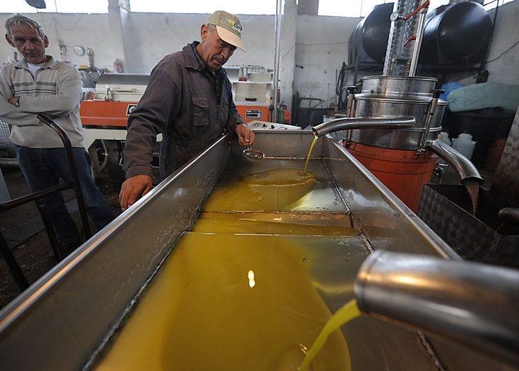 «Βούλιαξαν» οι εξαγωγές ελαιολάδου τον Μάρτιο -Οι κλάδοι που διασώθηκαν [πίνακας]