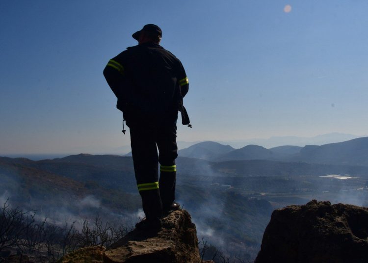 Προσλήψεις 5.066 υπαλλήλων στα δασαρχεία με νέα κοινωφελή εργασία