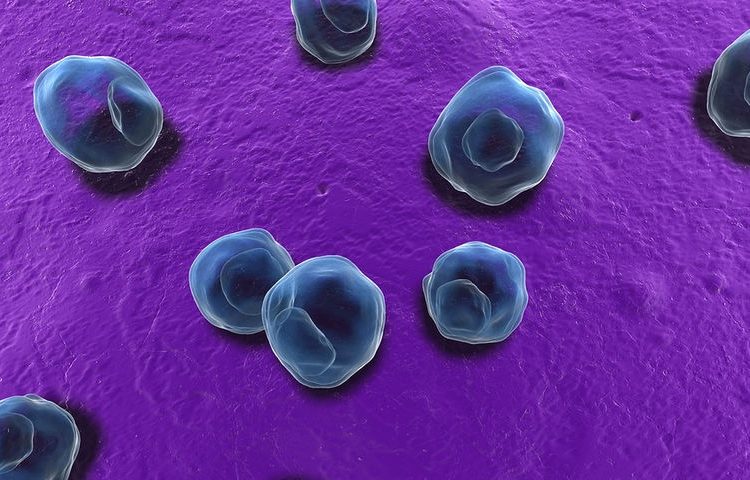 Τρεις λοιμώξεις των γεννητικών οργάνων που σαμποτάρουν τη γονιμότητα