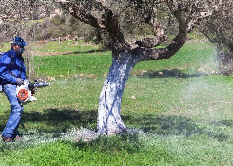 Εθελοντικός δολωματικός ψεκασμός από τον Αγροτικό Συνεταιρισμό Πύργου