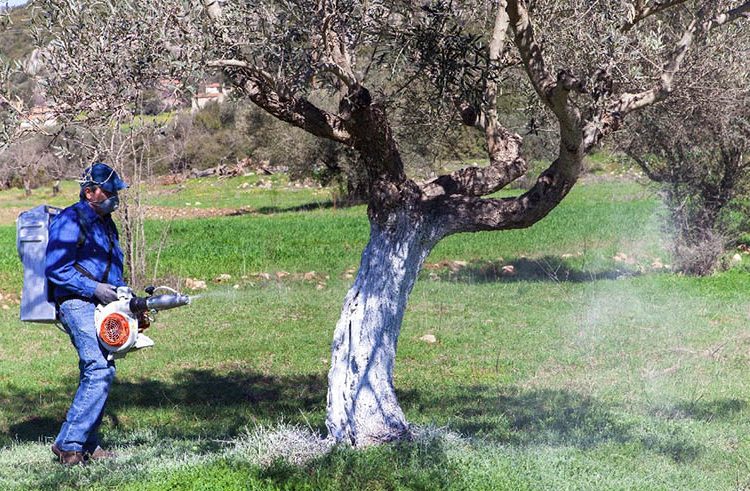 Ολοκλήρωση διαδικασίας πληρωμών για το έτος εφαρμογής 2013 της Δράσης 1.1 «Βιολογική Γεωργία – πενταετία»