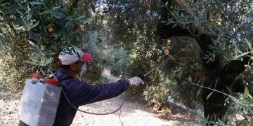 Πρόσληψη εργατοτεχνικού προσωπικού σε Τοπικές Κοινότητες  που έχουν ενταχθεί στο Πρόγραμμα Δακοκτονίας 2018