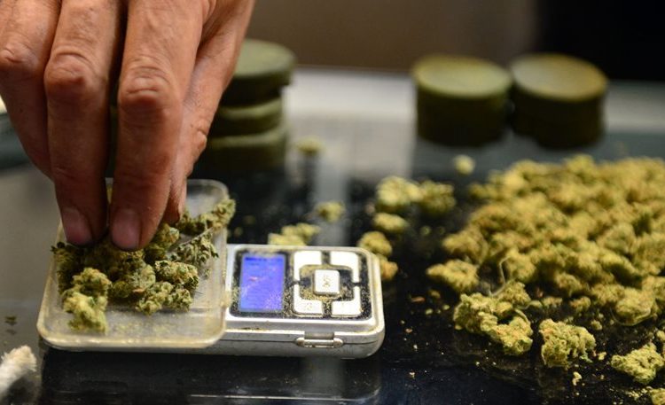 O Μπαλαούρας Γεράσιμος και άλλοι 19 βουλευτές του ΣΥΡΙΖΑ προτείνουν την αποποινικοποίηση της κάνναβης για ιατρική χρήση