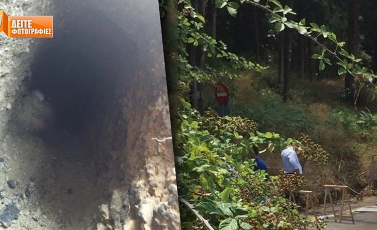 Κέρκυρα: Πρόλαβαν τους βαρυποινίτες ένα βήμα πριν αποδράσουν (Φωτο)