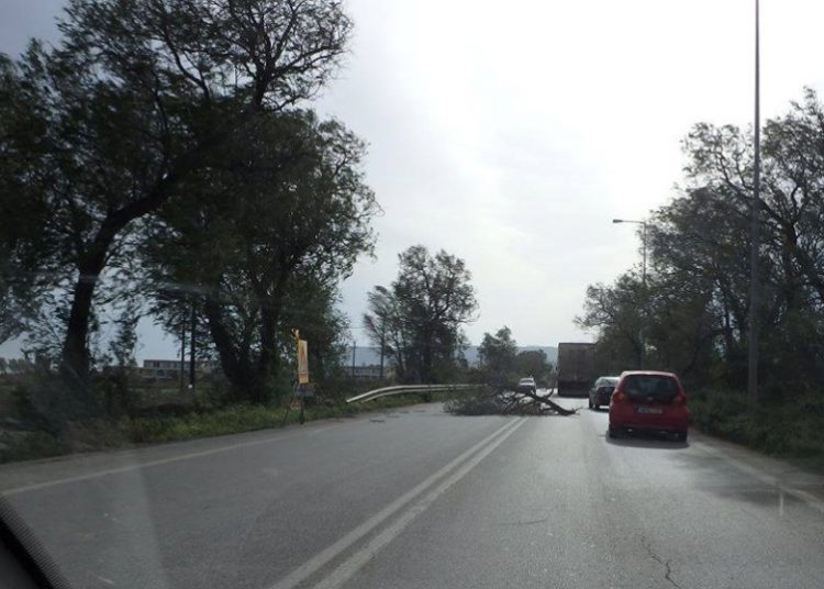 Δέντρο προκάλεσε ατύχημα στην Πατρών – Πύργου στο ύψος των Βραχναιίκων
