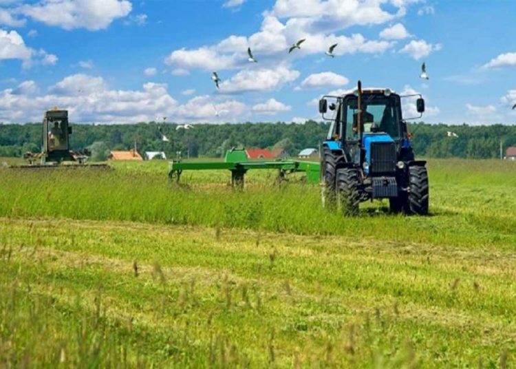 Κόβουν επιδοτήσεις οι δασικοί χάρτες