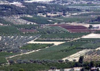 Δασικοί χάρτες: Οι αλλαγές για χωράφια και ακίνητα