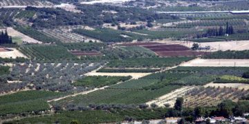 Δασικοί χάρτες: Οι αλλαγές για χωράφια και ακίνητα