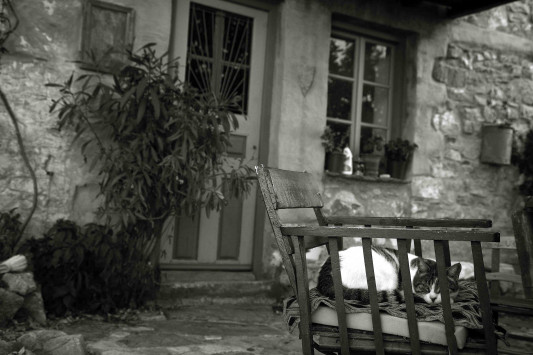 Πήλιο: Νέο ”Κωσταλέξι” με νεκρή γυναίκα