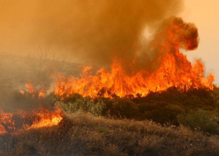 Μεγάλη πυρκαγιά από κεραυνό στην Δαφνούλα Ανδρίτσαινας