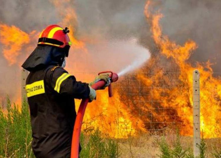 Φωτιά στη περιοχή της Σπιάντζας και την  Κάστα Κατακόλου (BINTEO)