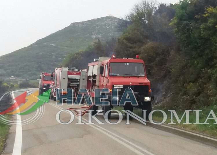 Ηλεία- Φρίξα – Ανδρίτσαινα: Εστίες πυρκαγιών σε όλη την περιοχή (νεότερα)