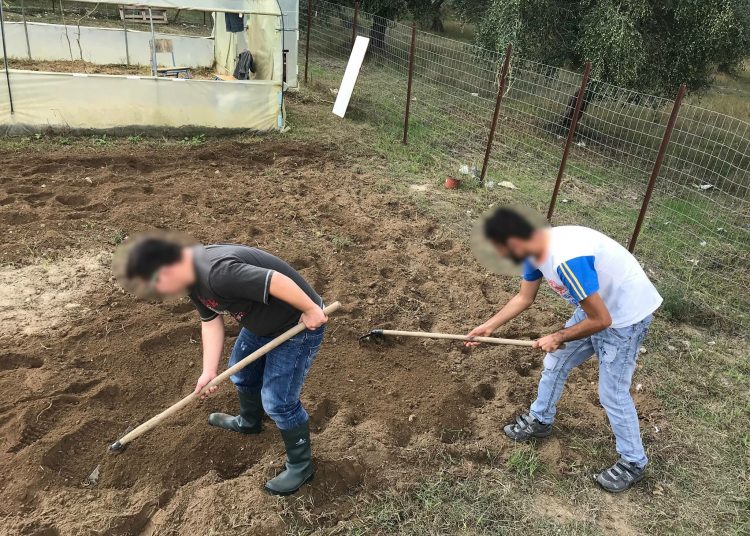 Γεωργικές δραστηριότητες για το ΕΕΕΚ Πύργου