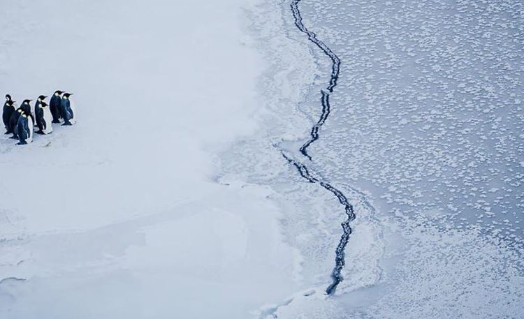 Στοιχεία σοκ: Για πρώτη φορά θερμοκρασίες πάνω από το μηδέν στο αρκτικό πέλαγος