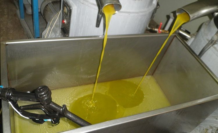 Πάνω από 3,50 ευρό το κιλό το λάδι. Τάσεις για 3,80 έως και 4,οο ευρώ.