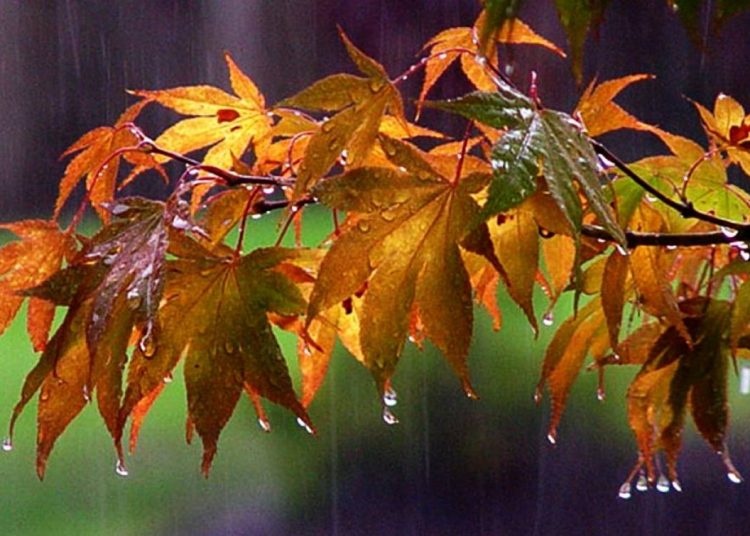 Καιρός: Αναλυτικά η πρόγνωση για σήμερα 2 Σεπτεμβρίου