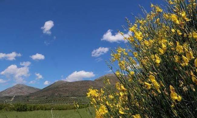 Καιρός σήμερα: Με ήλιο και άνοδο της θερμοκρασίας η Δευτέρα