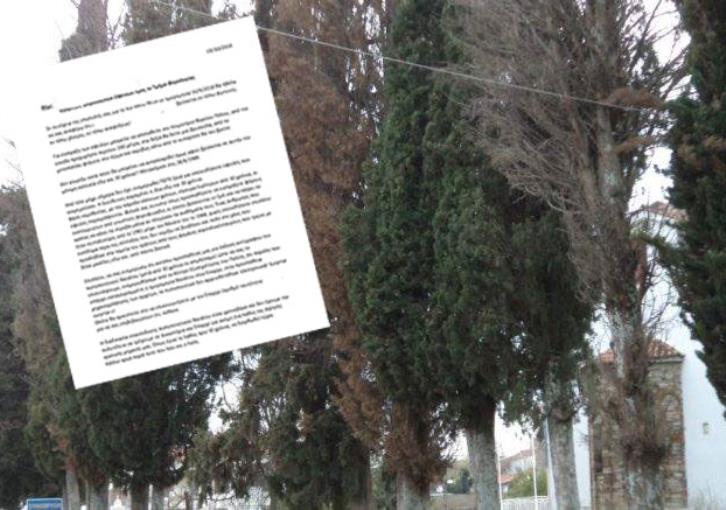 Αδιανόητη γκάφα του Τμ. Φορολογίας και η ειρωνική μέχρι δακρύων απάντηση στους εφοριακούς – «Ακριβώς κάτω από το κυπαρίσσι θα τον βρείτε!»