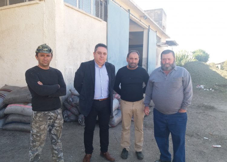 Γ.Αργυρόπουλος : «Ταφόπλακα» για την τοπική αγορά η πρωτοφανής ζημιά στο λάδι