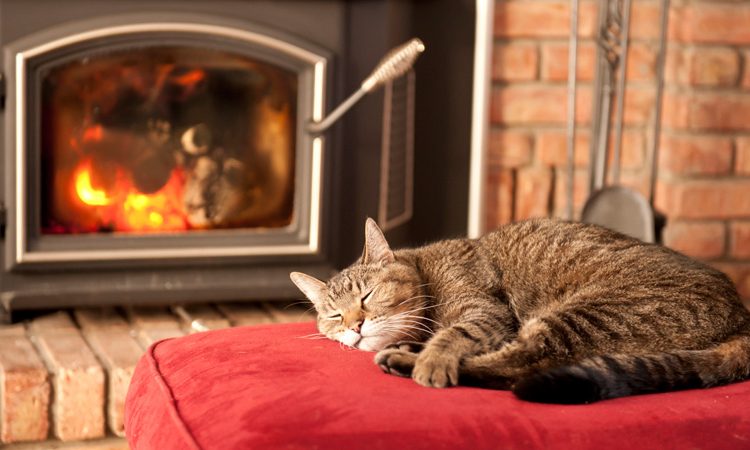 Καιρός: Έκτακτο δελτίο επιδείνωσης! Αναλυτικά ο καιρός στην Ηλεία έως την Πρωτοχρονιά