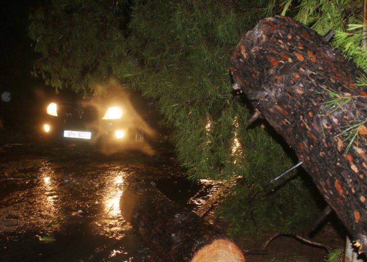 ΗΛΕΙΑ: Έντονες βροχοπτώσεις, δυνατοί άνεμοι και σπασμένα δένδρα στους δρόμους