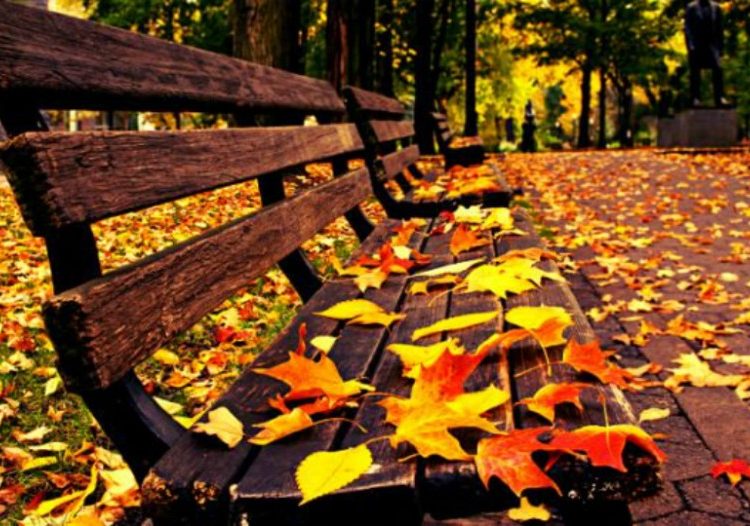 Τέλος το καλοκαίρι – Πέφτει απότομα η θερμοκρασία από Τετάρτη