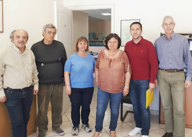 Σοβαρές ζημιές σε ελαιόδεντρα από τις πρόσφατες πυρκαγιές στην ΠΕ Ηλείας