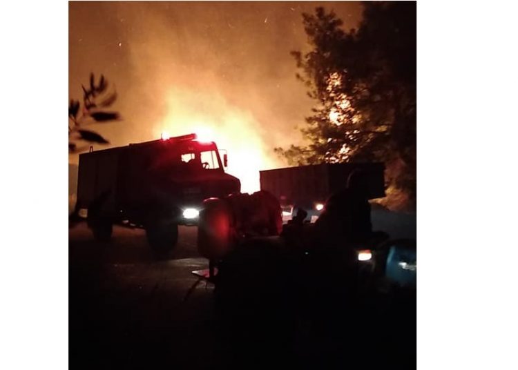 Ηλεία: Πυρκαγιά σε Κορυφή – Βροχίτσα – Πνέουν ισχυροί άνεμοι (βίντεο-νεότερα)