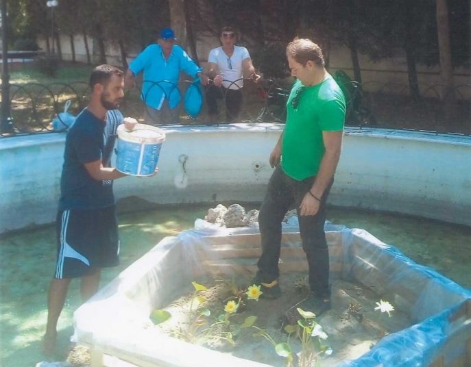 Νούφαρα στο Πάρκο ΣΠΚ