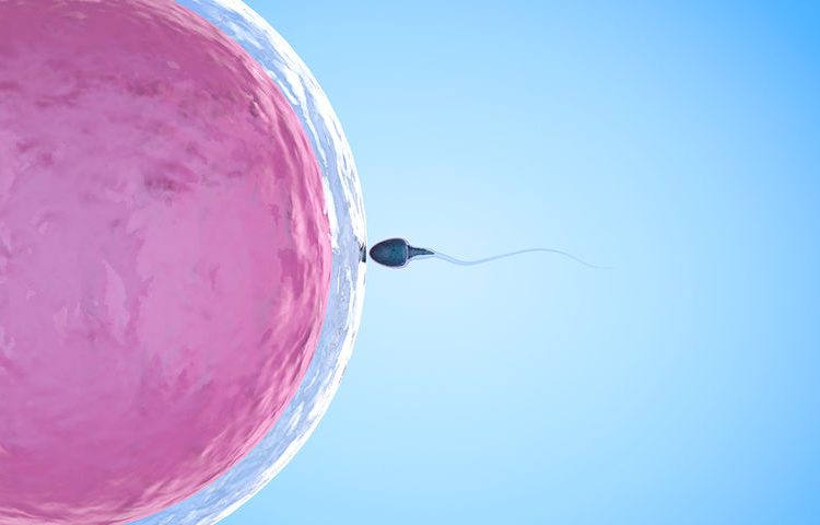 Υπό εξαφάνιση το ανδρικό σπέρμα – Οι βασικές αιτίες της ανδρικής υπογονιμότητας