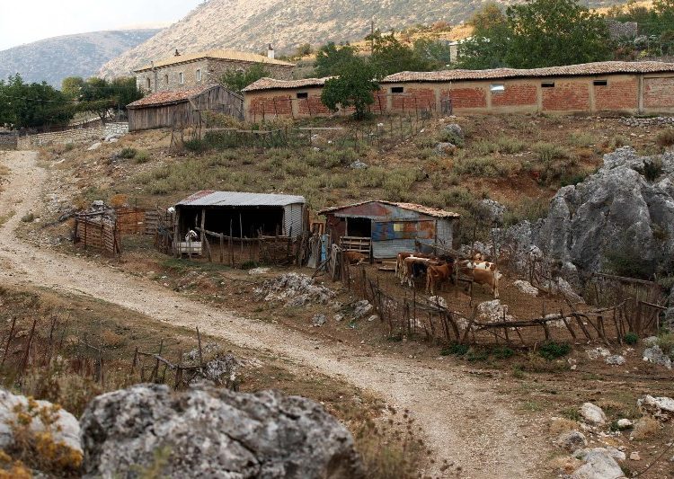 Δικαστικοί επιμελητές επιδίδουν εξώδικα σε στάνες και… κοτέτσια στην επαρχία, για δάνεια στην πρώην ΑΤΕ