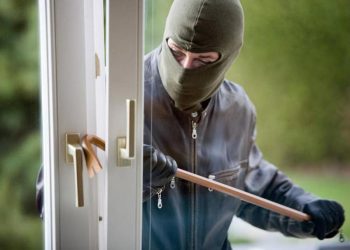 ΗΛΕΙΑ: Αλωνίζουν οι κλέφτες – Κλέβουν χρυσαφικά, πορτοφόλια έως και… κότες