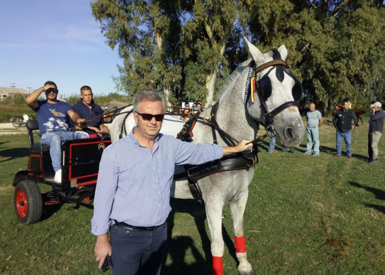 Δήμος Πηνειού: Ιδρύεται Ιππικό Κέντρο με πρωτοβουλία Ανδρέα Μαρίνου