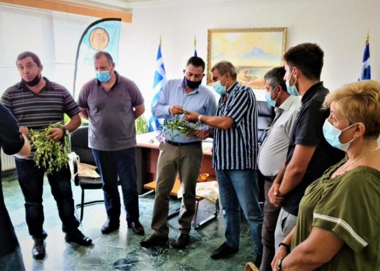 Θοδ. Βασιλόπουλος: “Να δοθούν άμεσα προκαταβολικά οι αποζημιώσεις σε αγρότες-κτηνοτρόφους”