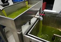 «Σταματήστε να πουλάτε ελαιόλαδο όσοι δεν έχετε μεγάλη ανάγκη για να πάψει να κατρακυλά η τιμή»