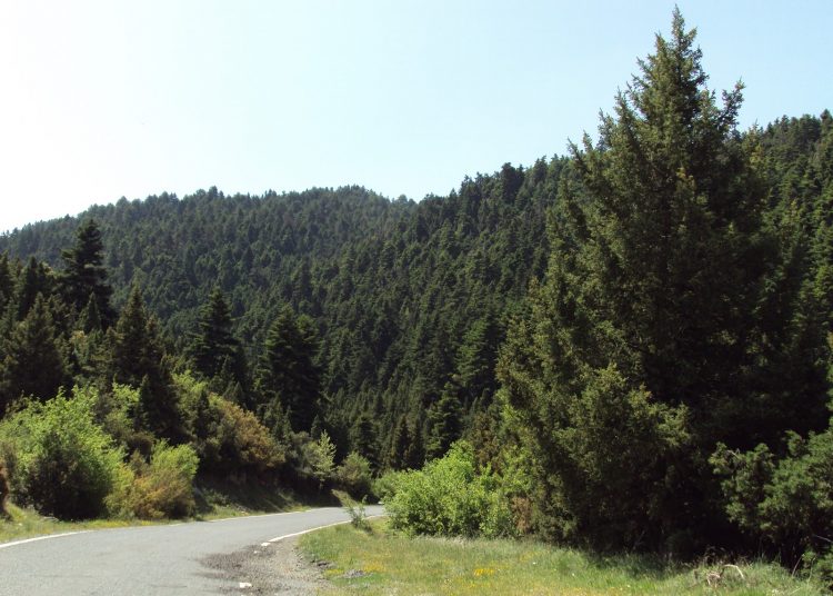 Προσλήψεις 700 ατόμων στο υπουργείο Περιβάλλοντος (ειδικότητες)