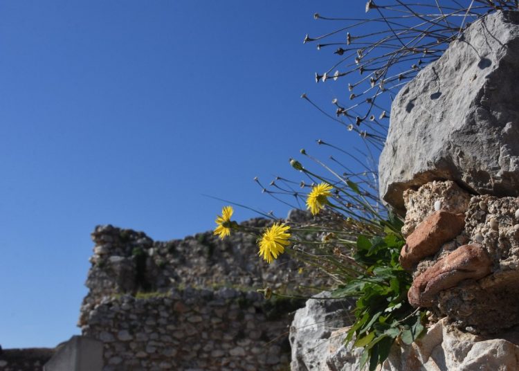 Καιρός: Τσικνοπέμπτη με ήλιο και θερμοκρασίες έως 20 βαθμούς