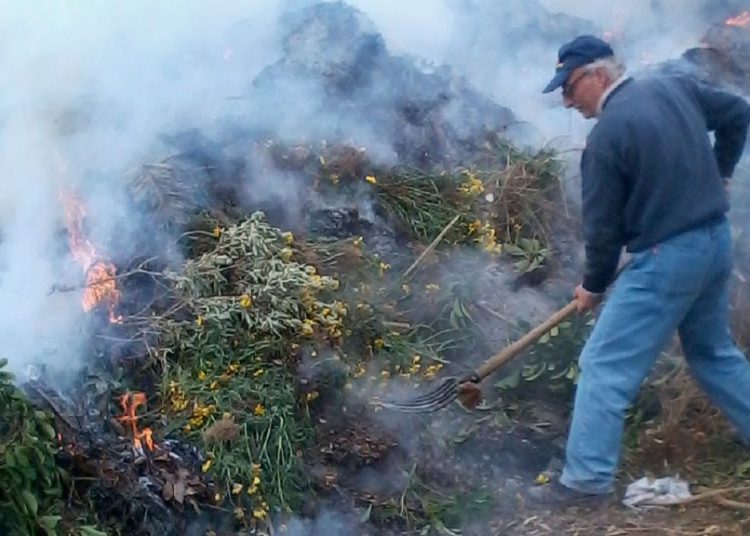 Συλλήψεις για εμπρησμούς στην Ηλεία- Ξεκινά η απαγόρευση καύσεων