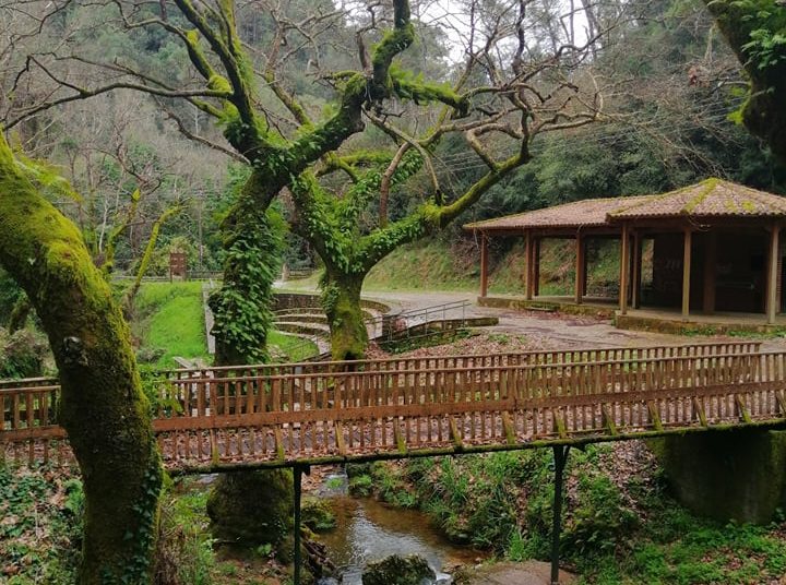 Πρόταση βόλτας: Φαράγγι Άμπουλας -Βασιλάκι