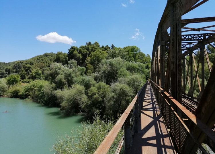 Πρόταση βόλτας: Σιδηροδρομική γέφυρα Αλφειού