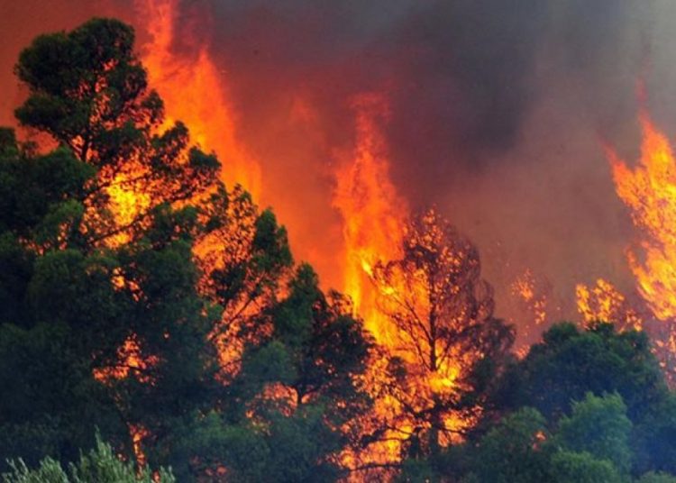 Γούμερο: μάχη με τις φλόγες τη νύχτα