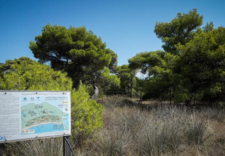 Παράταση έξι μηνών στην υποβολή αντιρρήσεων για τους δασικούς χάρτες