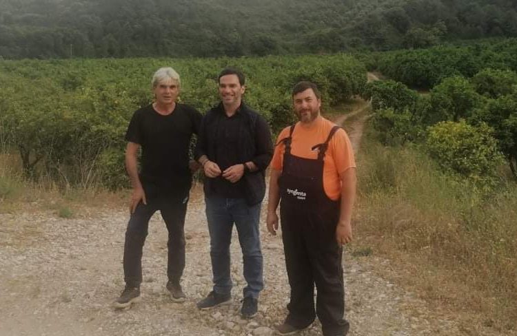 Παγετός και πανδημία προκάλεσαν αδιέξοδα στους αγρότες