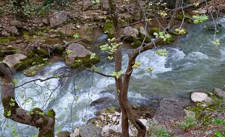 Το «μυθικό» φαράγγι της Πελοποννήσου όπου ο Ηρακλής κομμάτιασε το βράχο για χάρη της αγαπημένης του