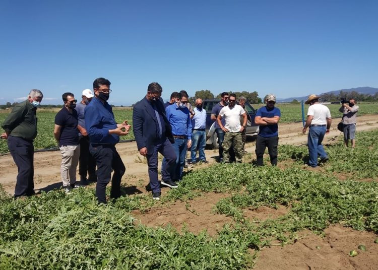 Κλιμάκιο φορέων πήγε στις περιοχές που χτυπήθηκαν από το χαλάζι