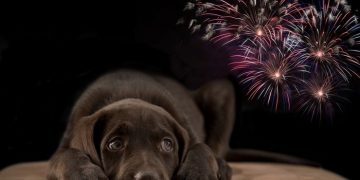 Ένα έθιμο που σκοτώνει- Γράφει ο Νίκος Βέρρας