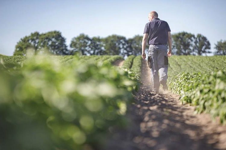 Ανδρέας Μαρίνος: προσκαλεί τους αγρότες της Ηλείας σε συνάντηση για την μη πληρωμή αποζημιώσεων στις επίσπορες καλλιέργειες