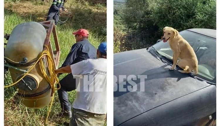 Απίστευτες εικόνες μετά από τροχαίο στην Αχαΐα- Ο σκύλος «χάτσικο» του τραυματία που συγκίνησε